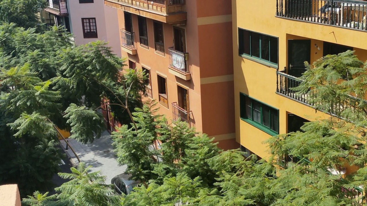 Photo of Outdoor in Puerto de la Cruz