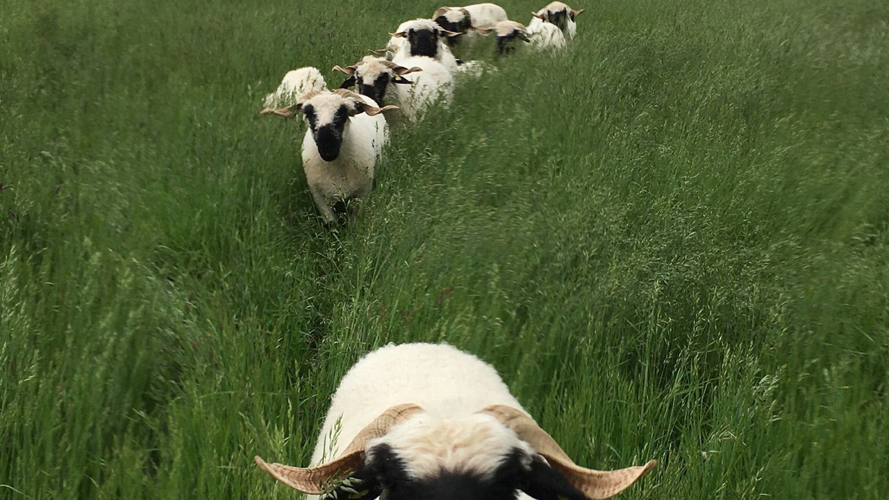 Photo of Others in Gescher