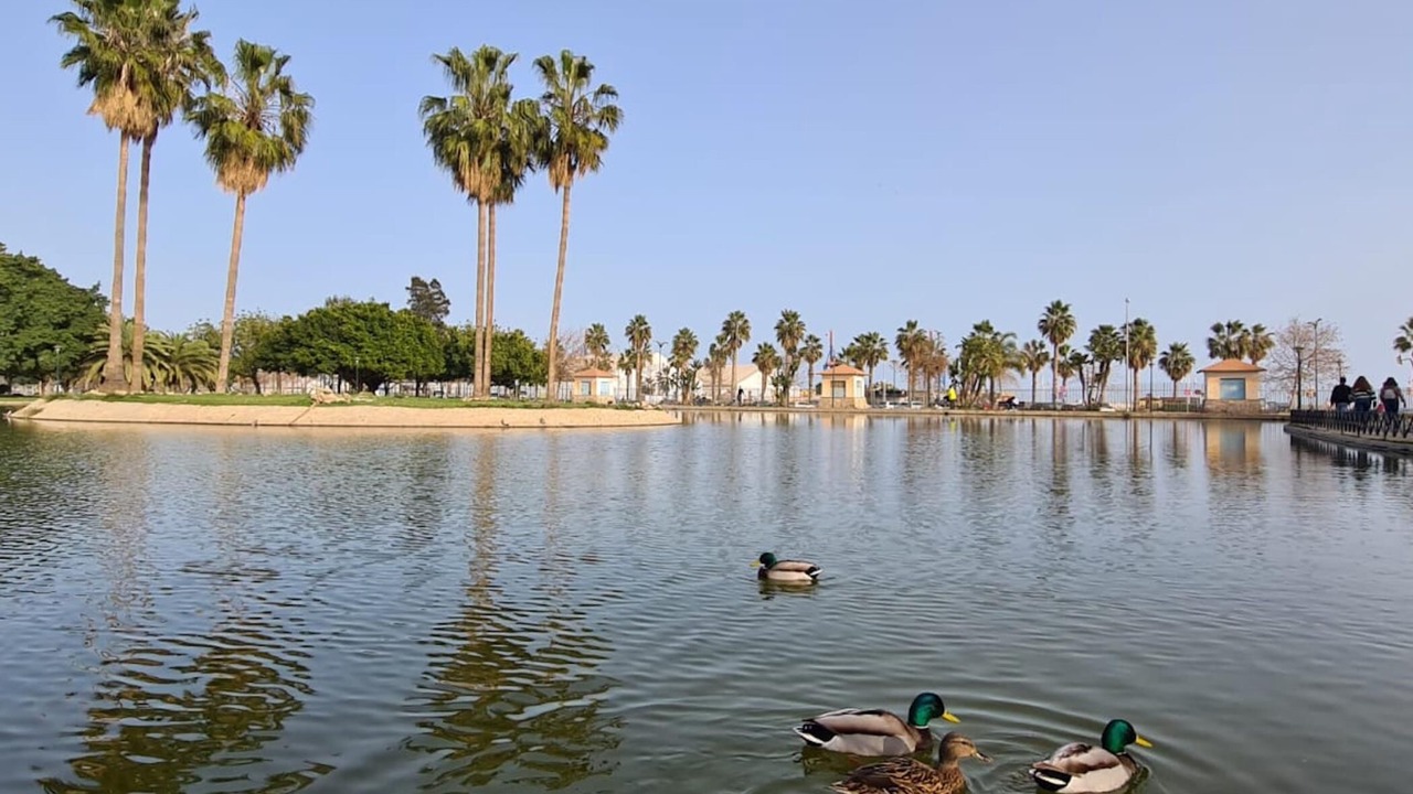 Photo of Outdoor in Carretera de Cadiz