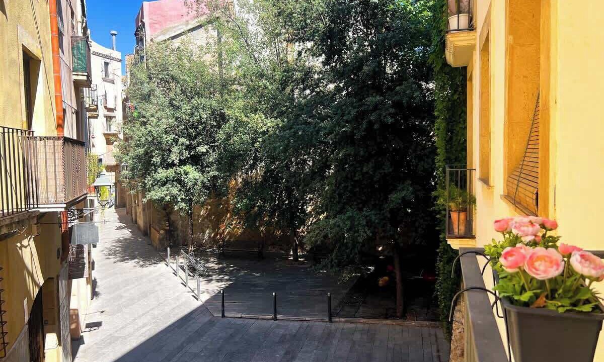 Photo of Outdoor in Old Town