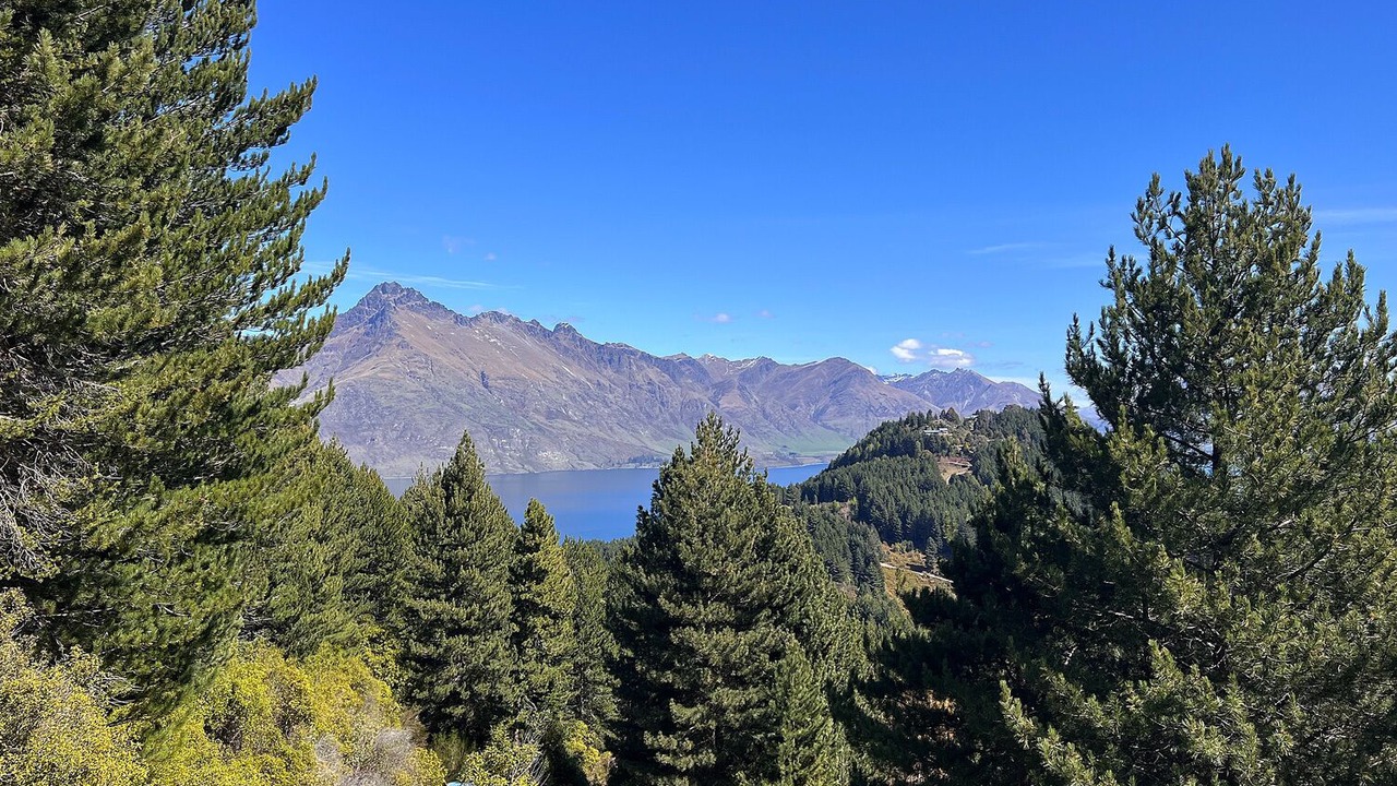 Photo of Others in Queenstown