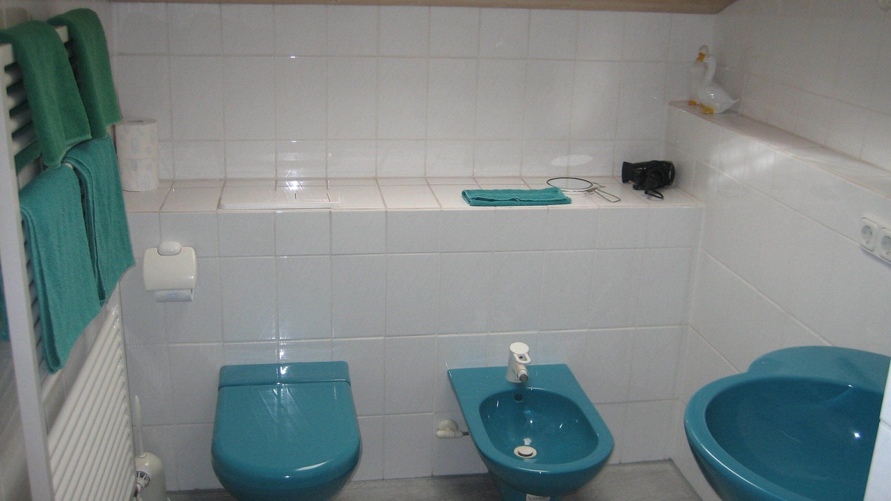 Photo of Bathroom in Schwangau