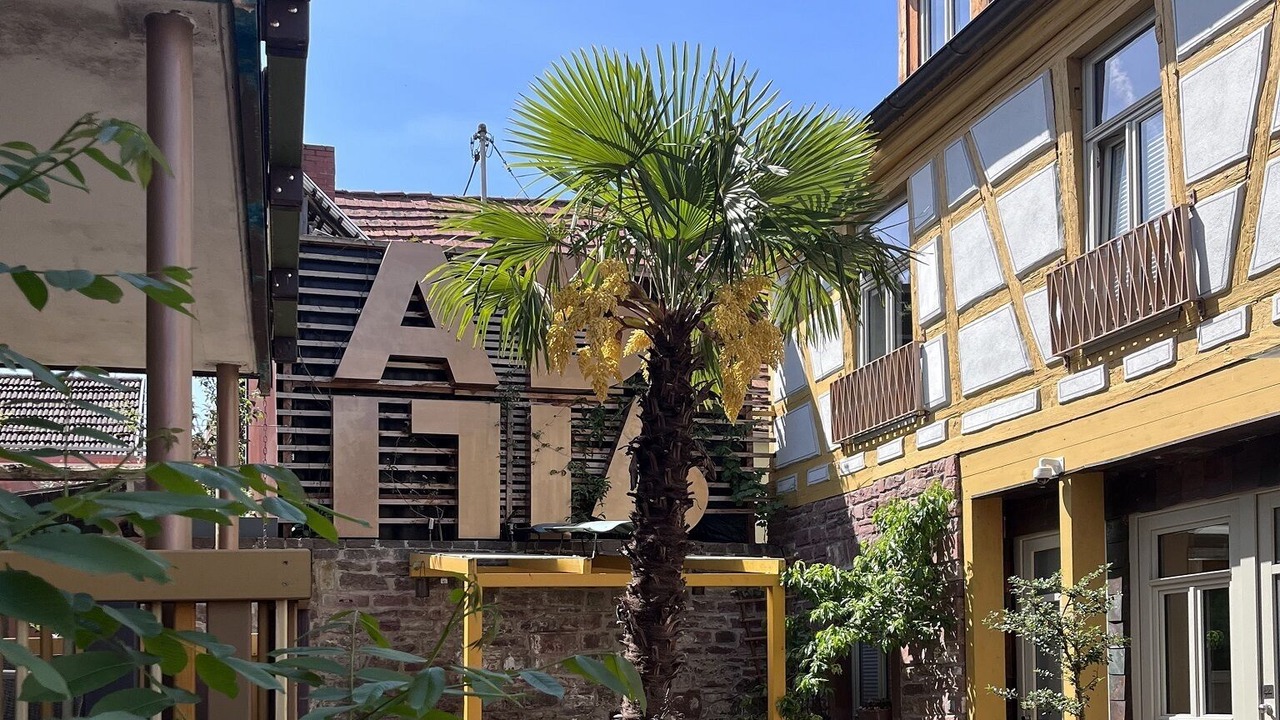 Photo of Outdoor in Marktheidenfeld