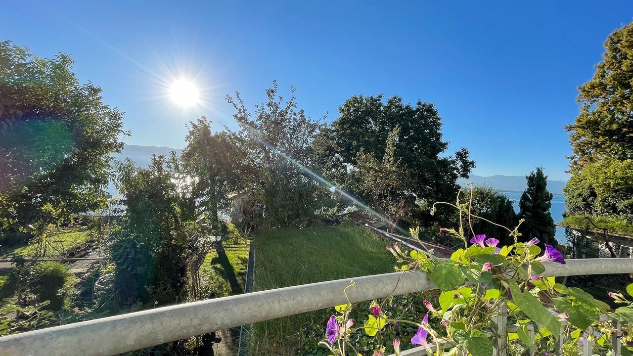 Photo of Outdoor in Insel