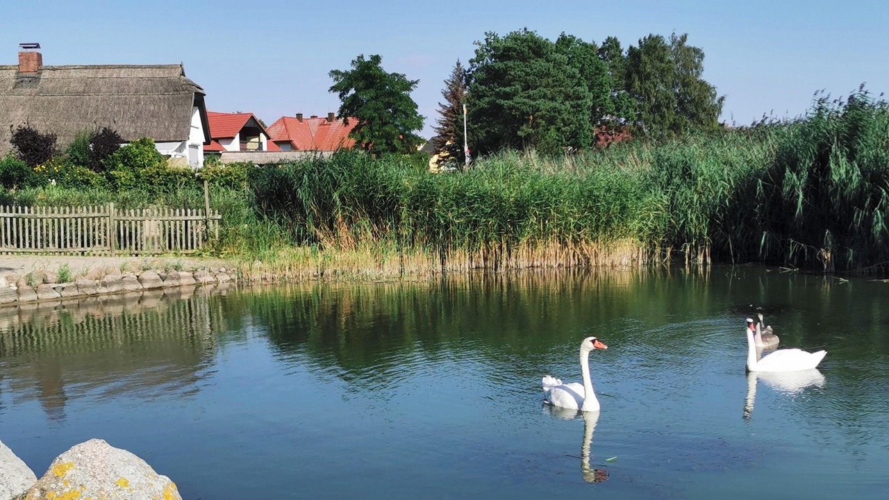 Photo of Others in Ostvorpommern