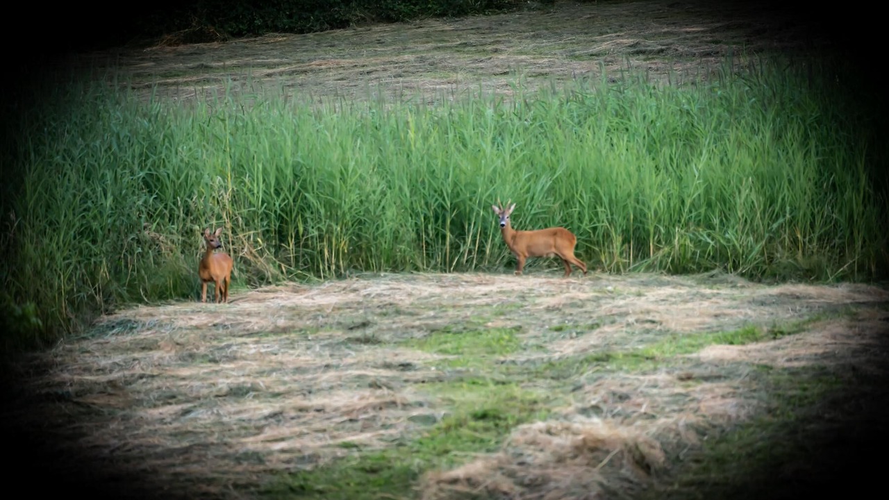 Photo of Outdoor in Zenting