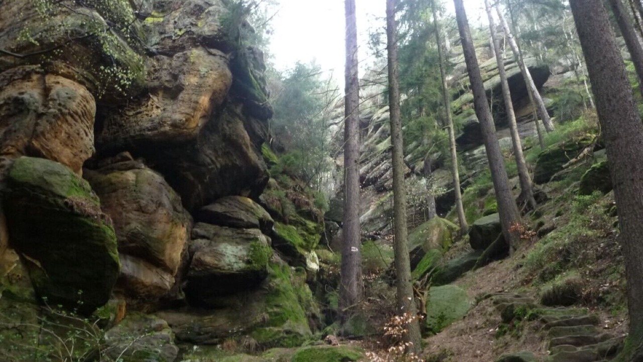 Photo of Outdoor in Kirnitzschtal