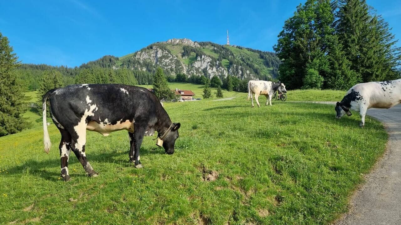 Photo of Others in Ettensberg