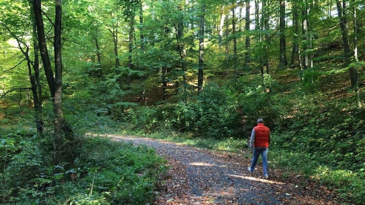 Photo of Outdoor in Cortendorf