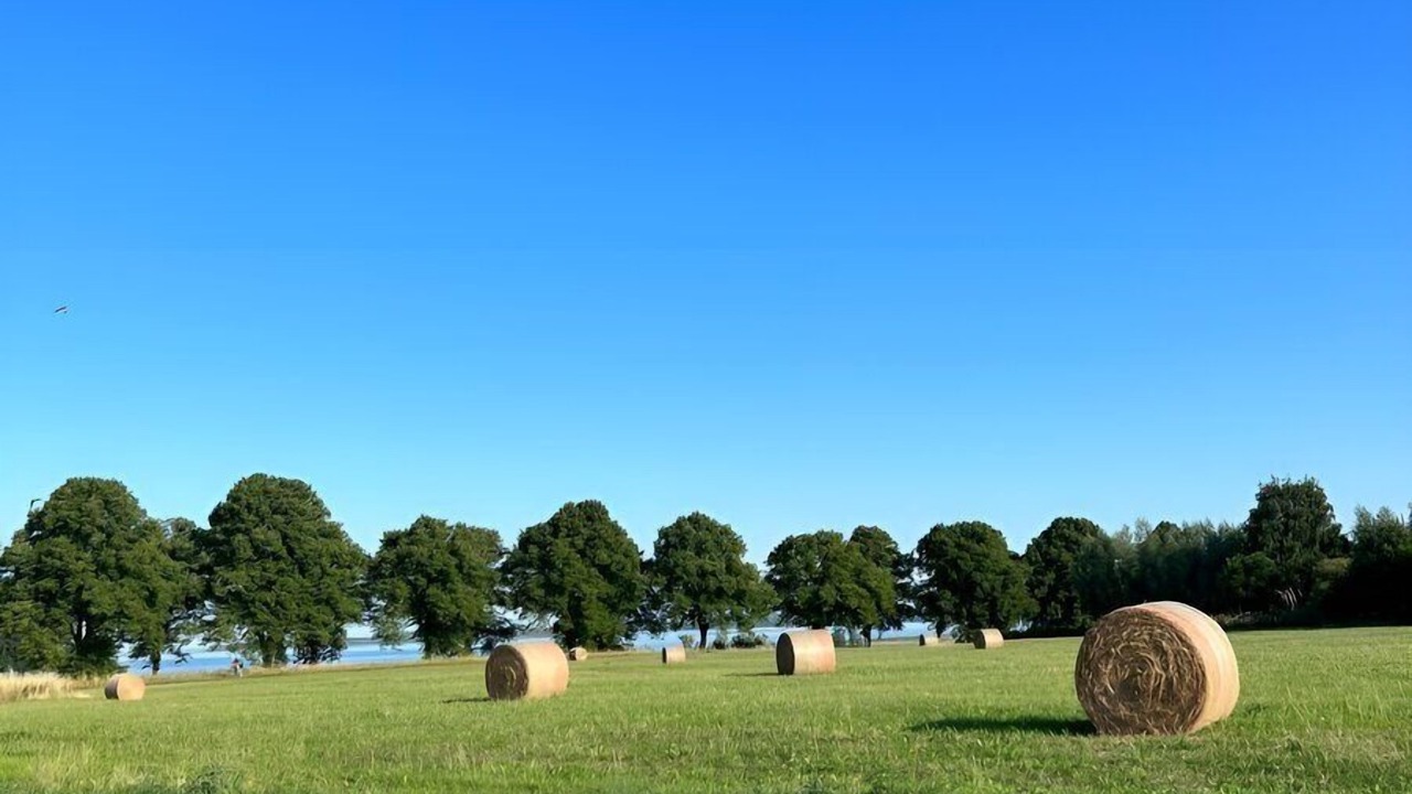 Photo of Others in Am Salzhaff