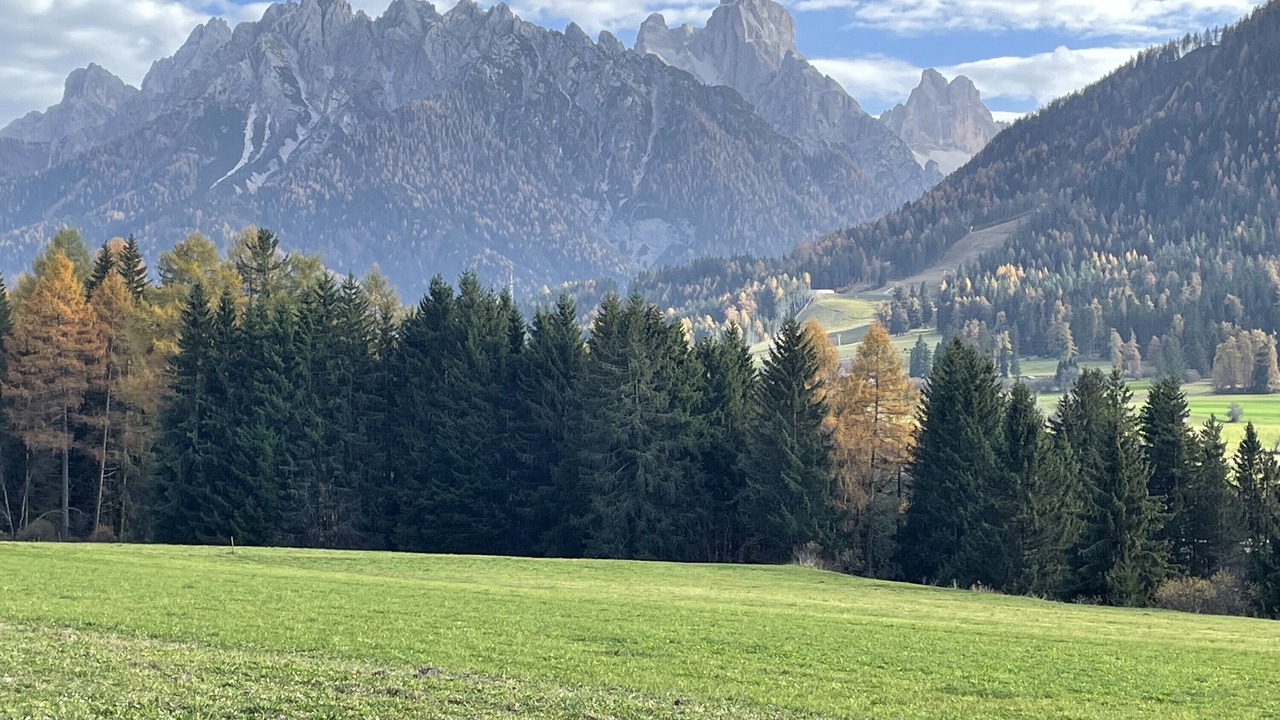 Photo of Others in Oy-Mittelberg