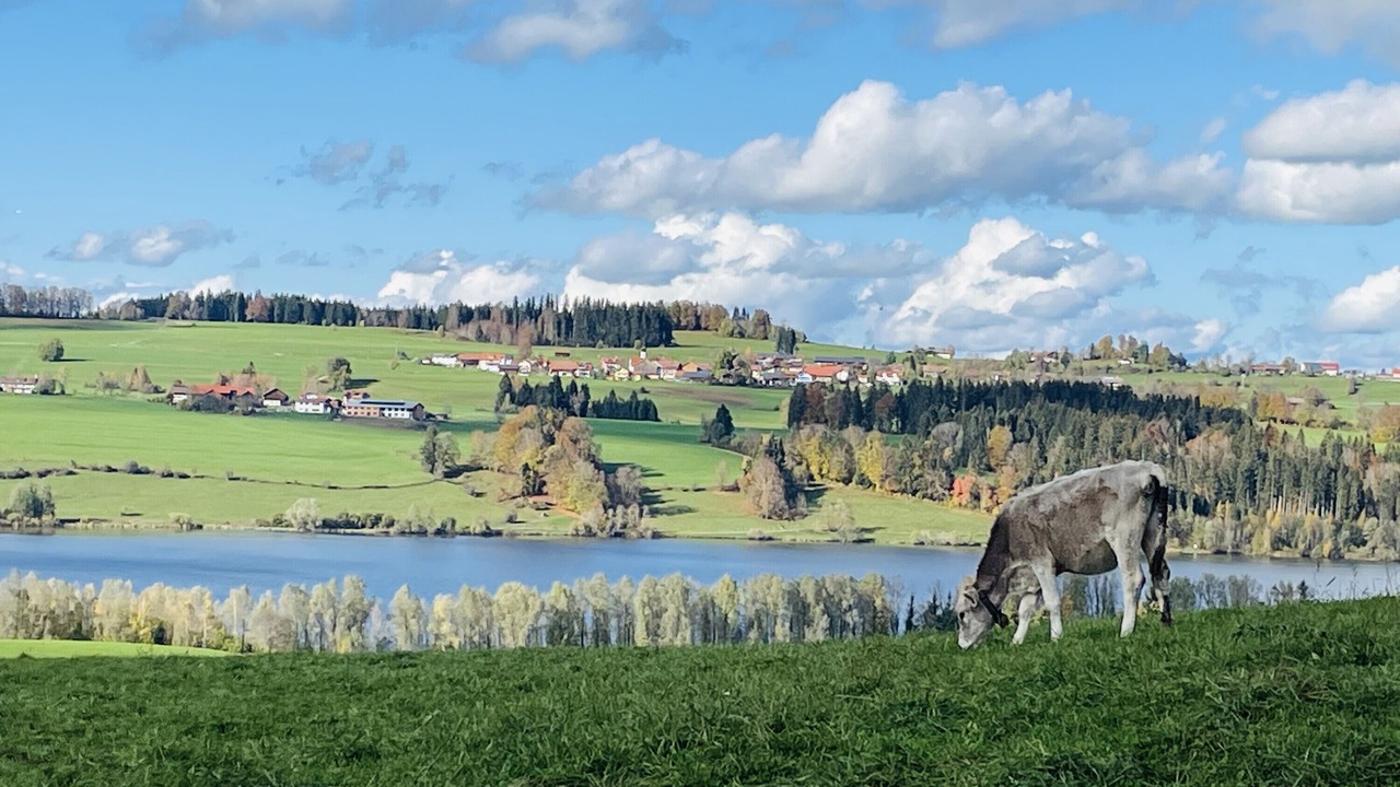 Photo of Others in Oy-Mittelberg