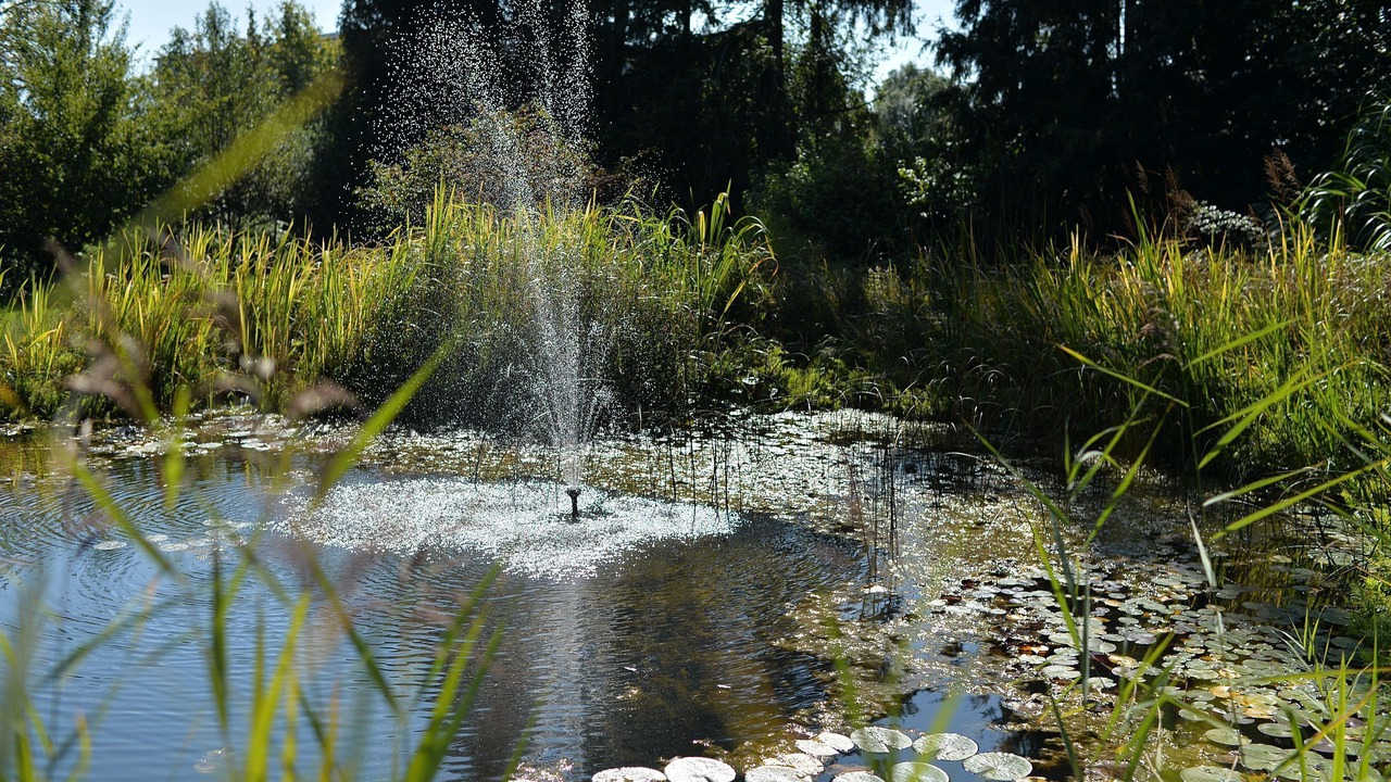 Photo of Outdoor in Reutin