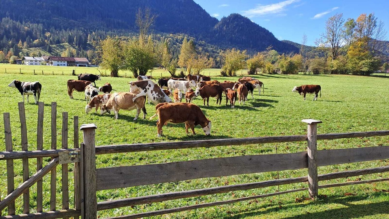 Photo of Others in Jachenau