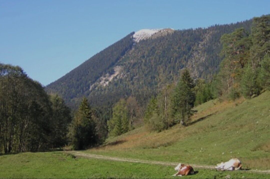 Photo of Others in Jachenau