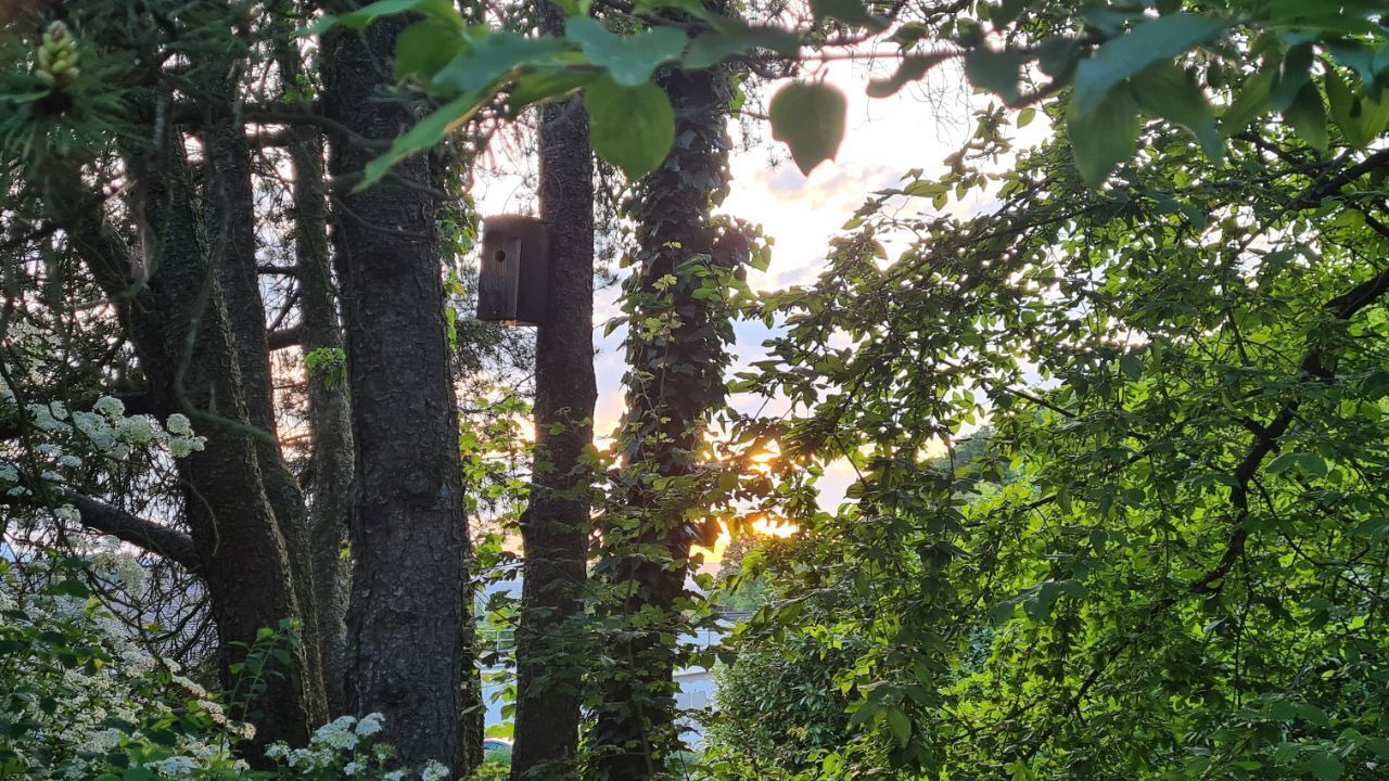 Photo of Outdoor in Steisslingen