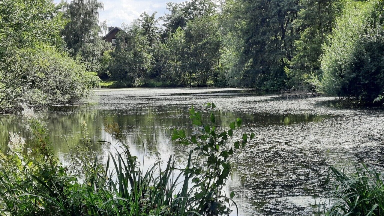 Photo of Others in Gescher