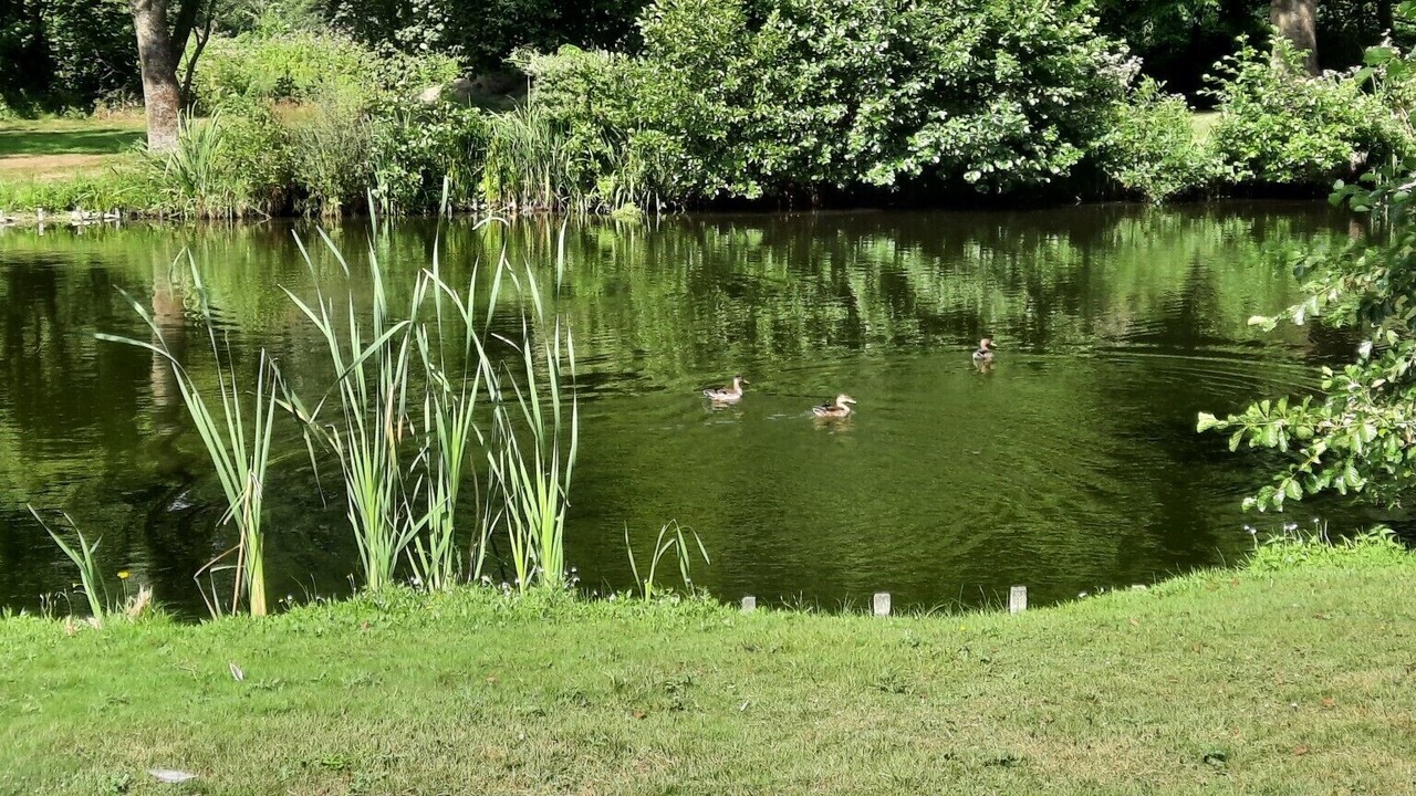 Photo of Outdoor in Gescher