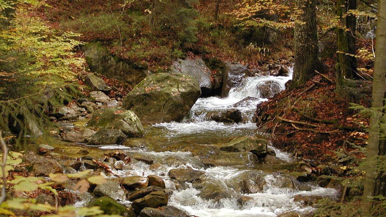 Photo of Outdoor in Neuschoenau