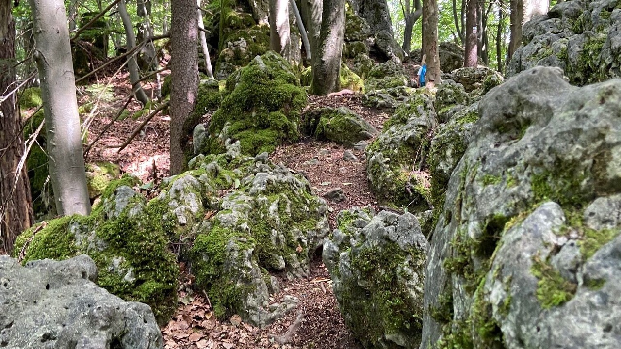 Photo of Outdoor in Betzenstein