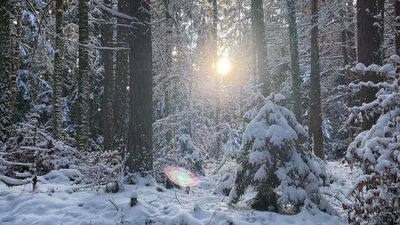 Photo of Outdoor in Betzenstein