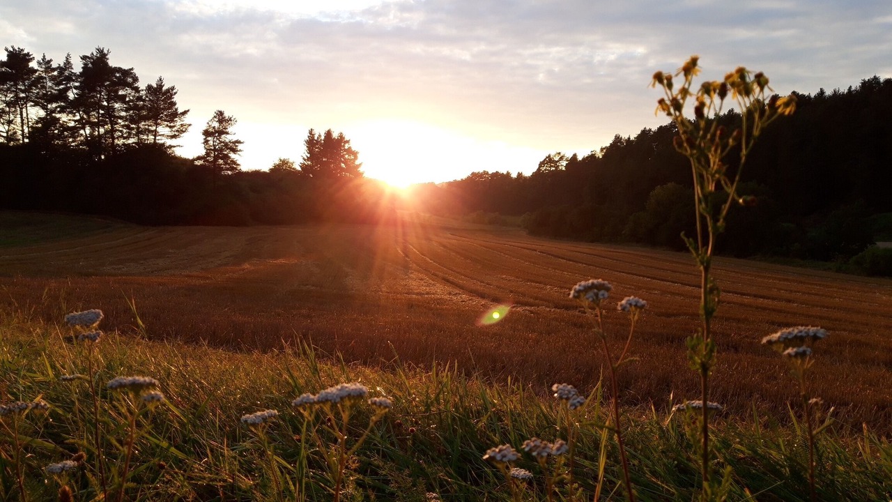 Photo of Outdoor in Betzenstein