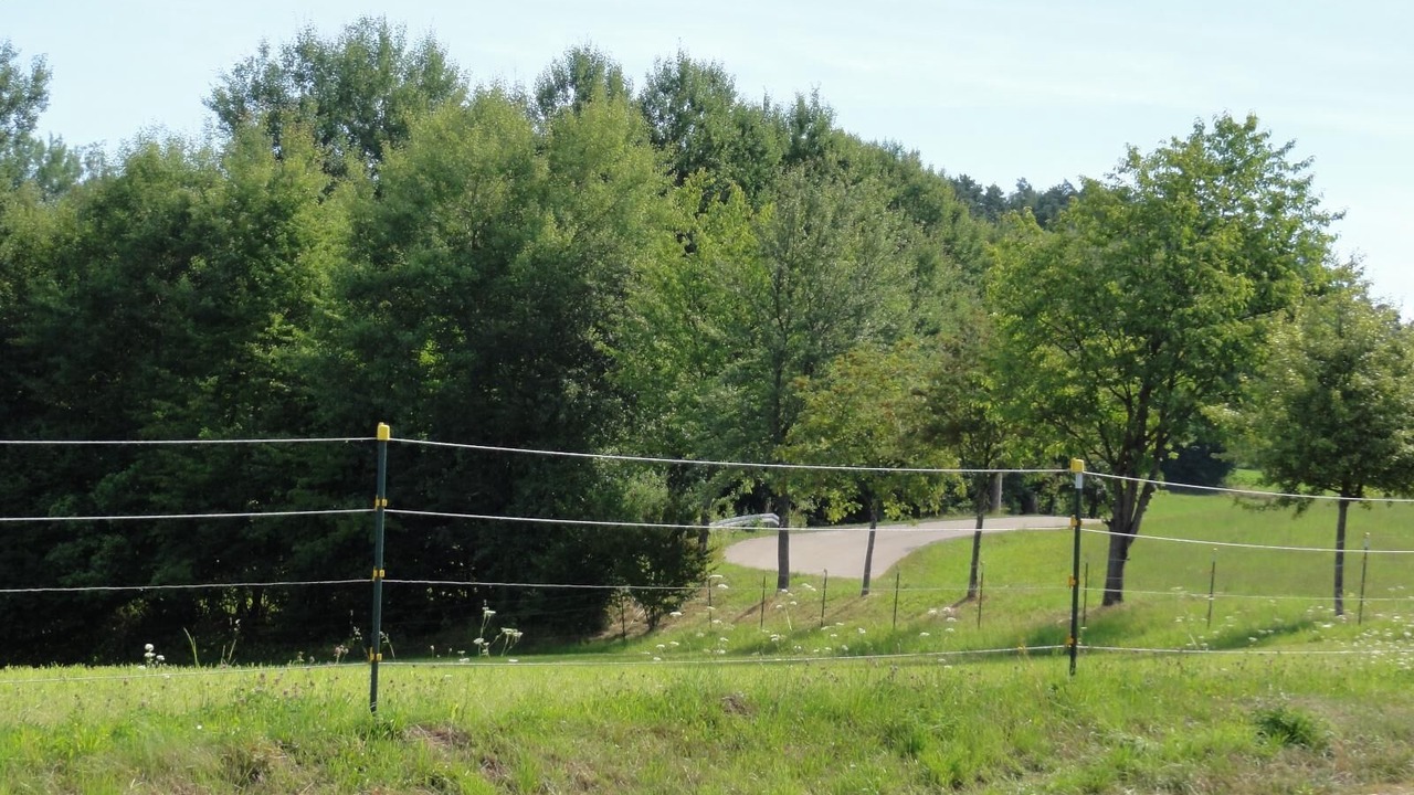 Photo of Others in Grafenwiesen