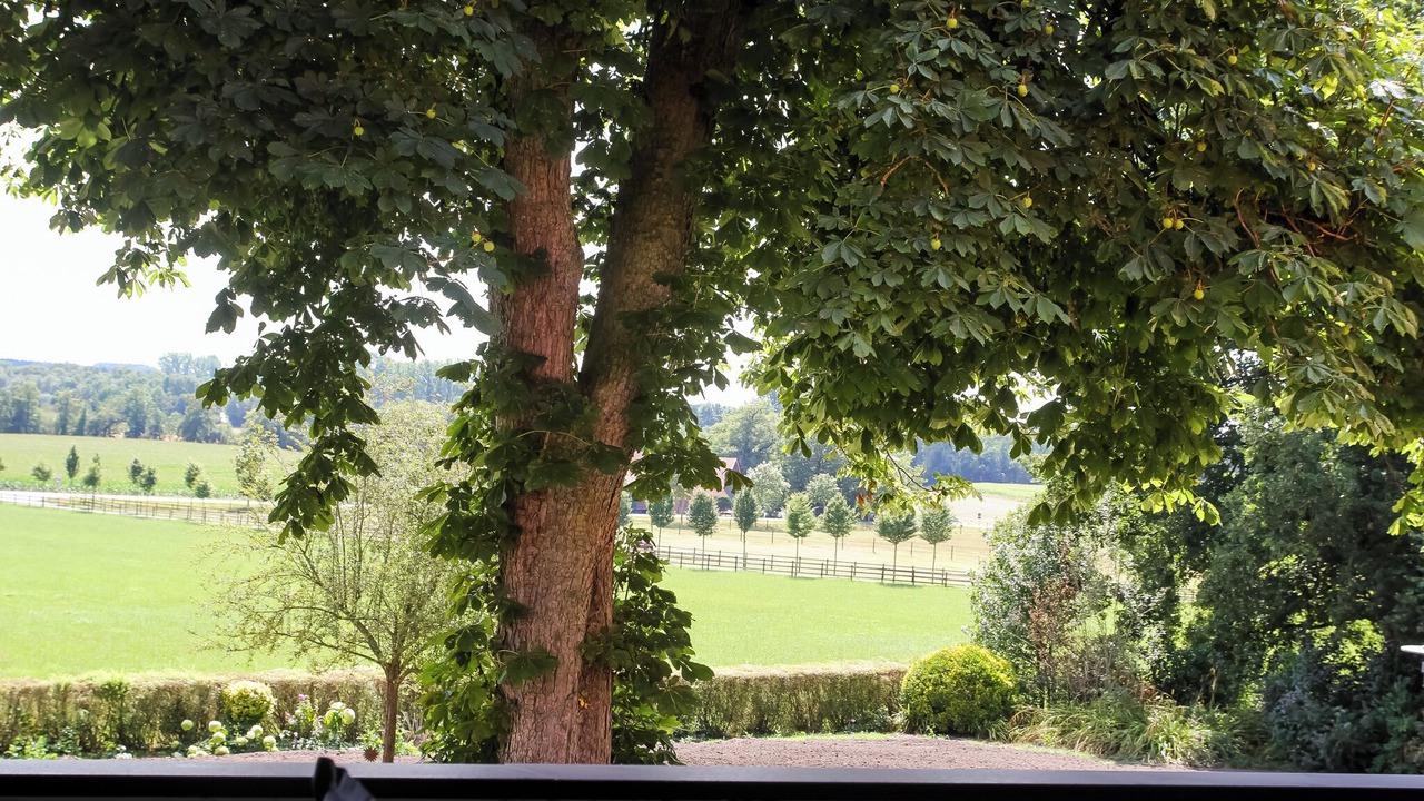 Photo of Outdoor in Bad Bentheim
