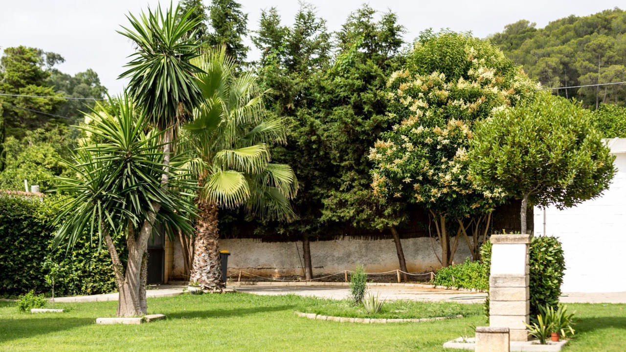 Photo of Outdoor in Barbate