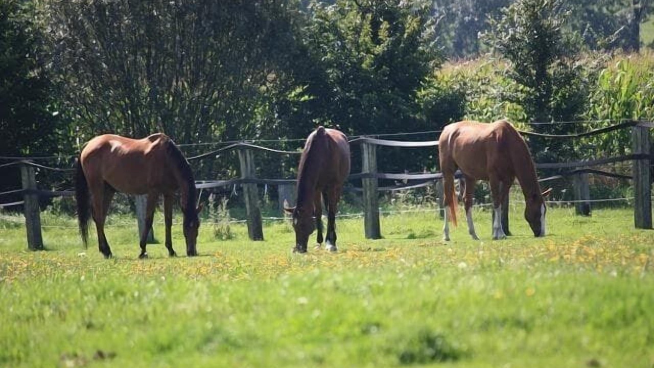 Photo of Others in Seebarn