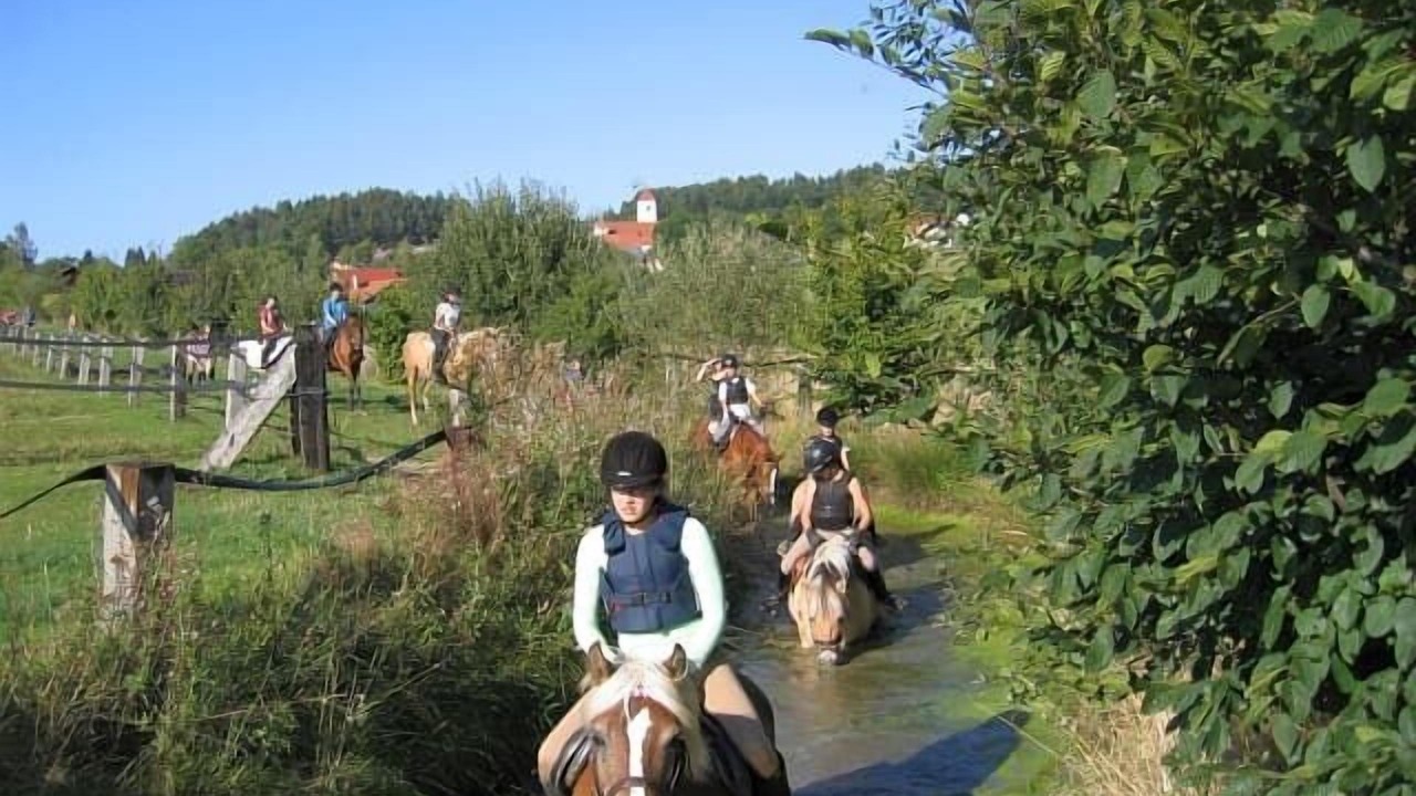 Photo of Others in Seebarn
