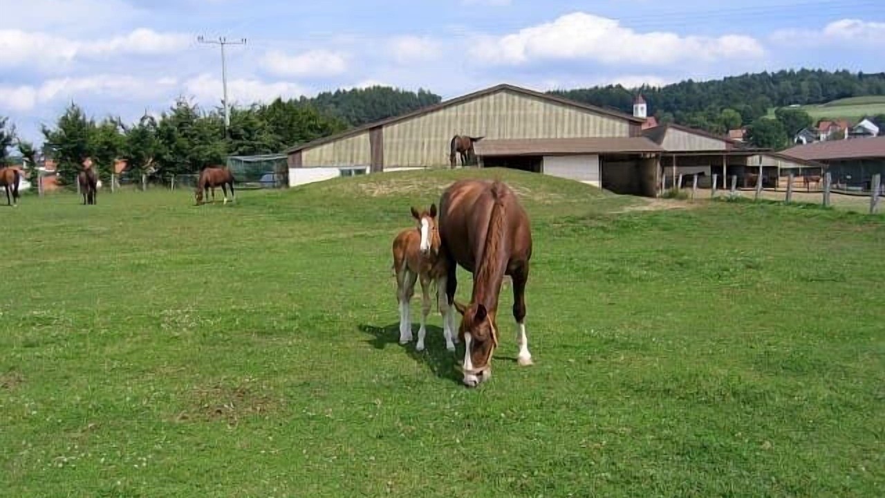Photo of Others in Seebarn