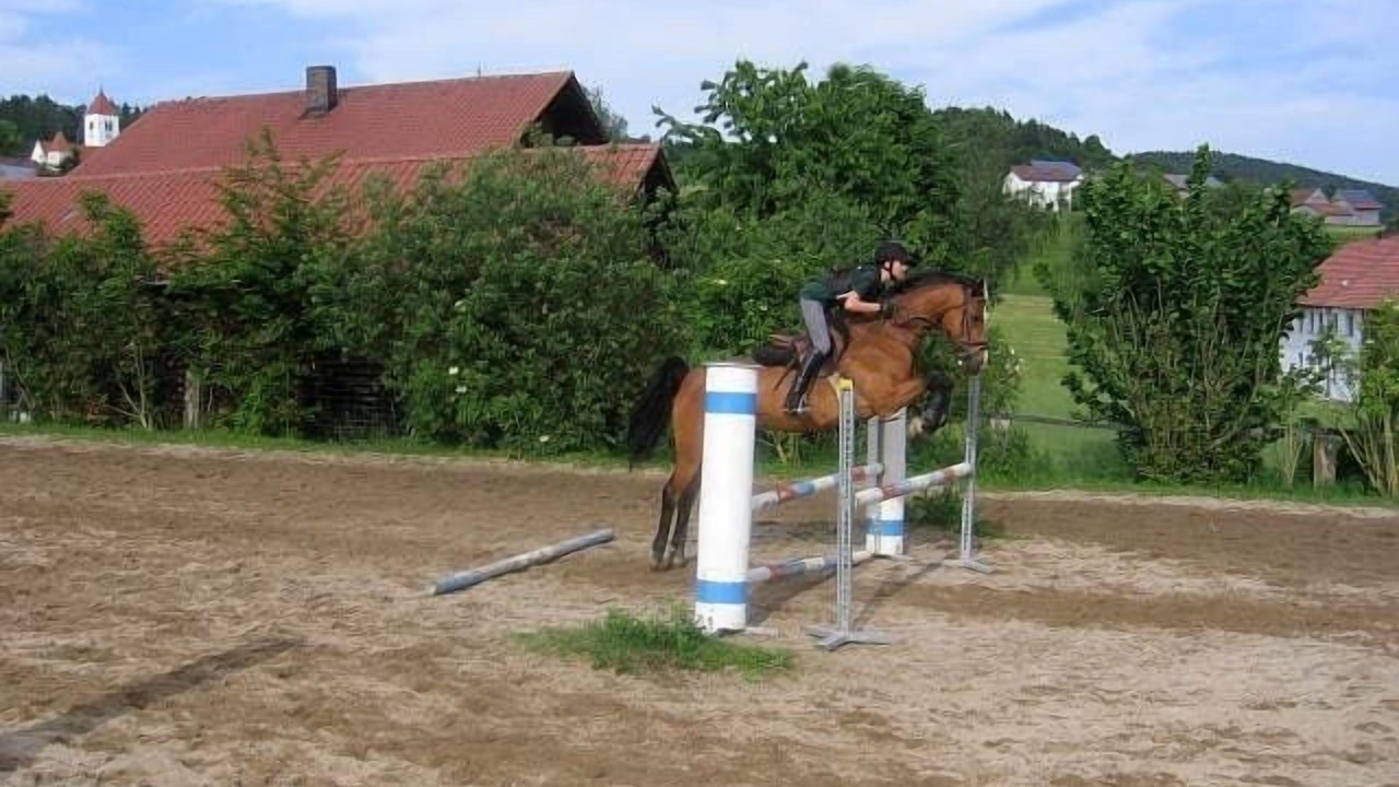 Photo of Outdoor in Seebarn