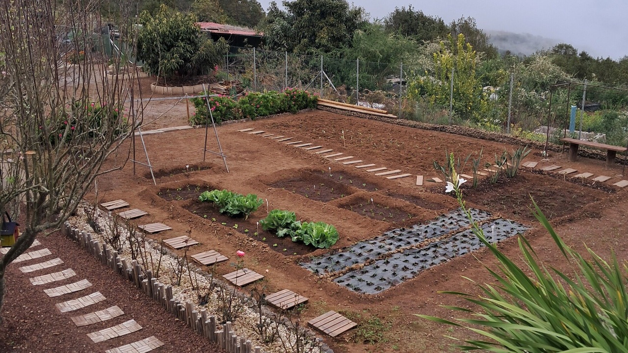 Photo of Outdoor in Icod de los Vinos