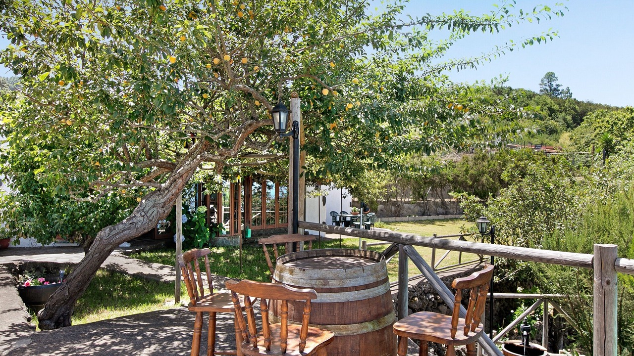 Photo of Outdoor in Icod de los Vinos