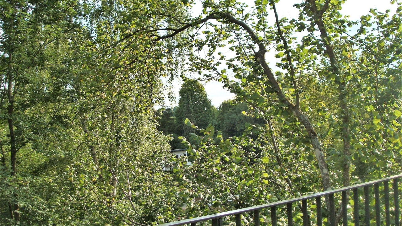 Photo of Patio Balcony in Affalterthal