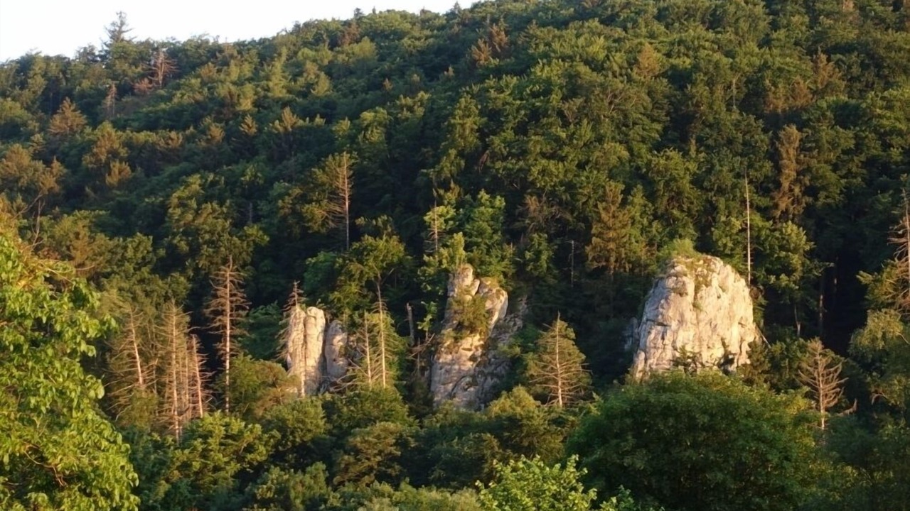 Photo of Outdoor in Prunn