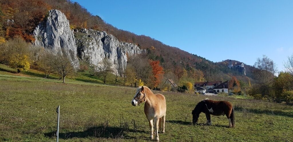Photo of Others in Prunn