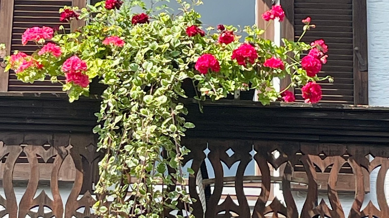 Photo of Outdoor in Peissenberg