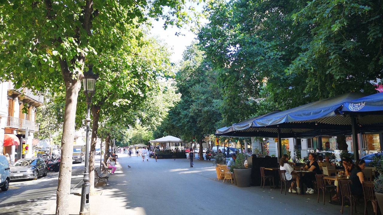 Photo of Outdoor in L'Antiga Esquerra de l'Eixample