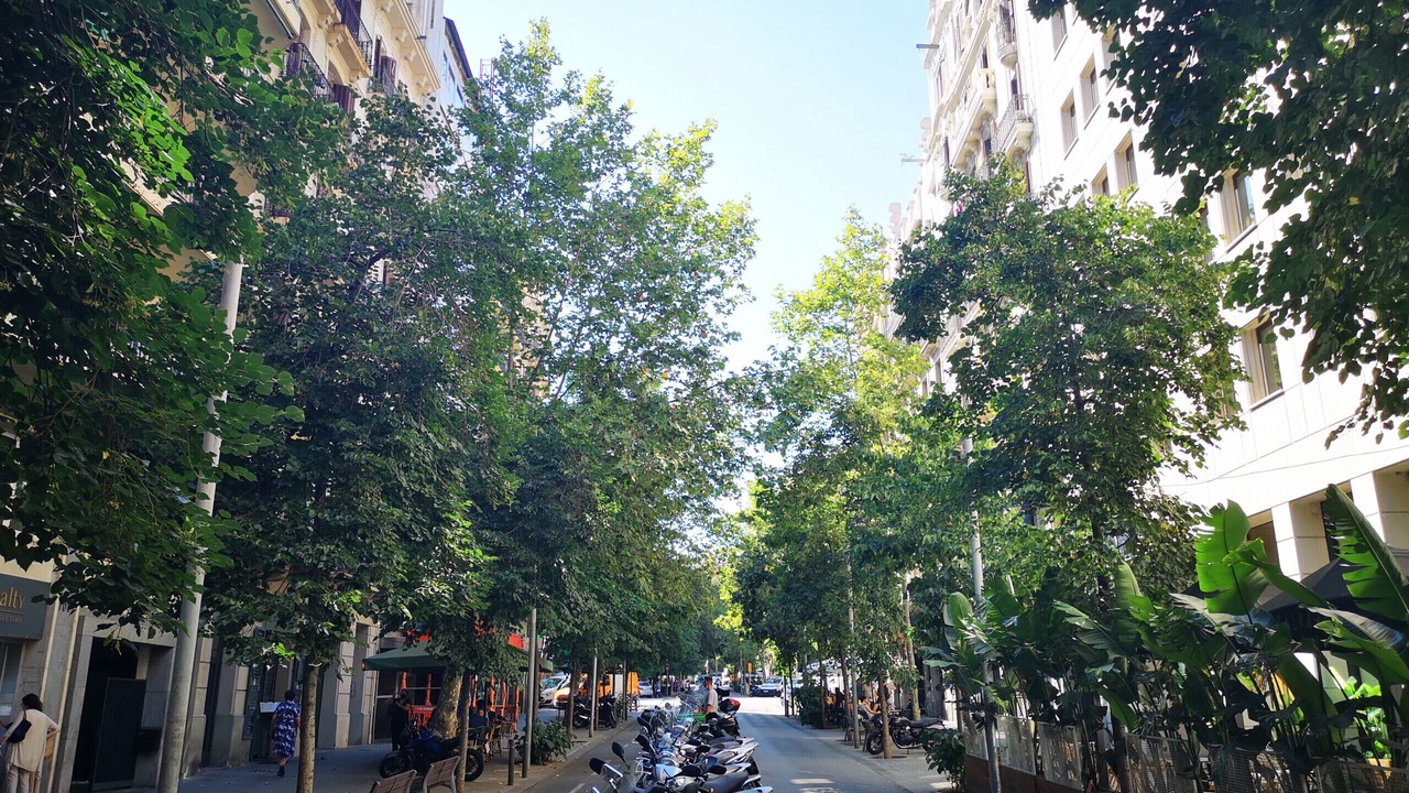 Photo of Others in L'Antiga Esquerra de l'Eixample