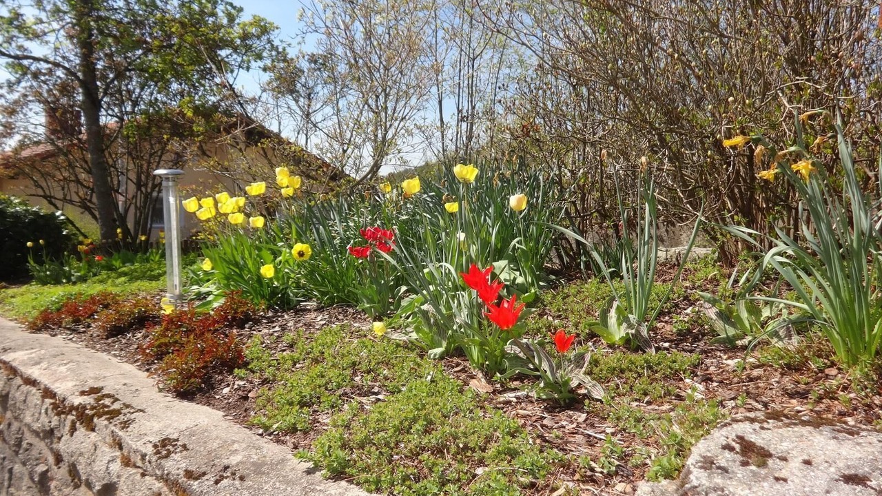 Photo of Outdoor in Traitsching