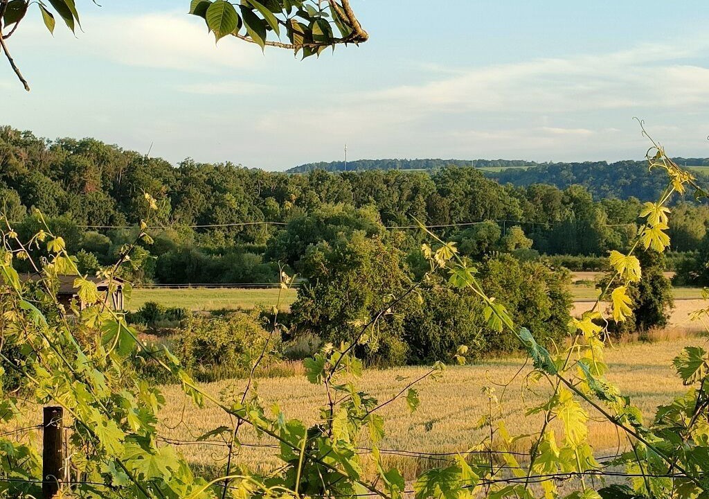 Photo of Outdoor in Obereisenheim