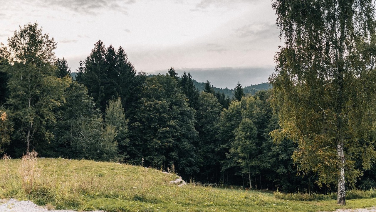 Photo of Outdoor in Kollnburg