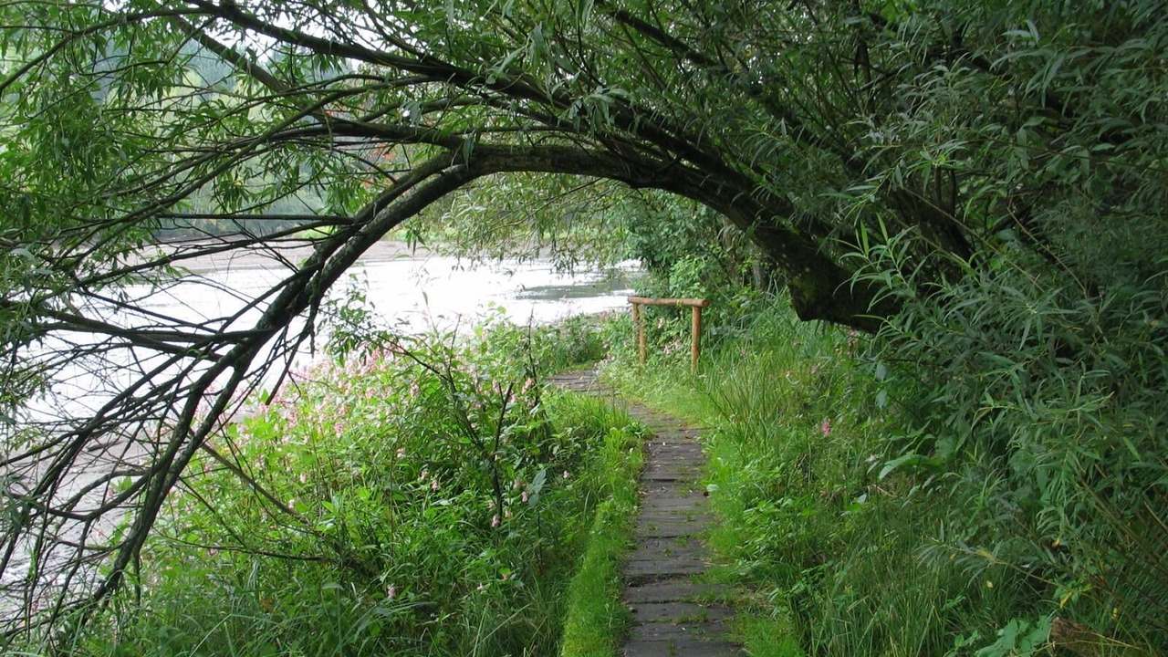Photo of Outdoor in Kattersdorf