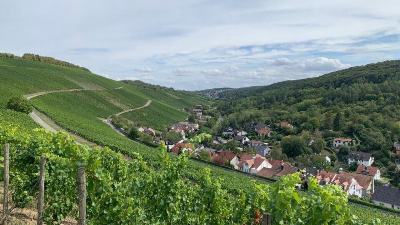 Photo of Outdoor in Theilheim