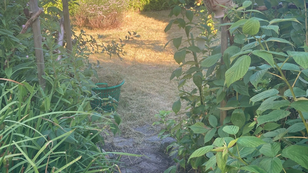 Photo of Outdoor in Molschow
