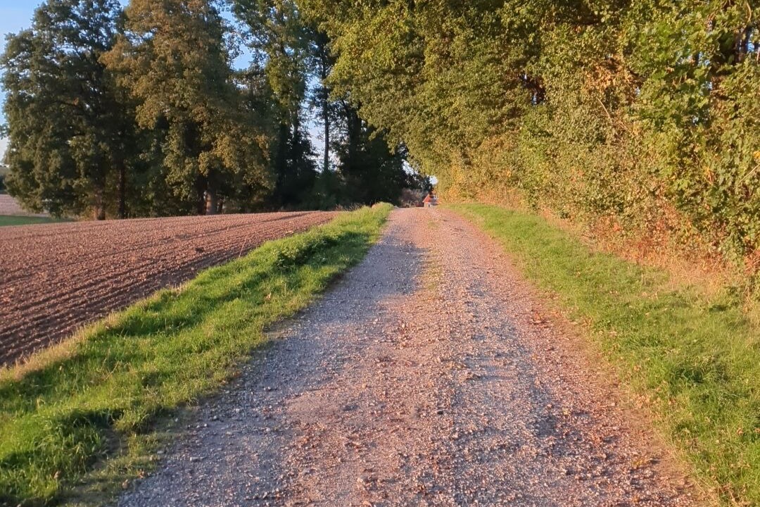 Photo of Outdoor in Bad Iburg