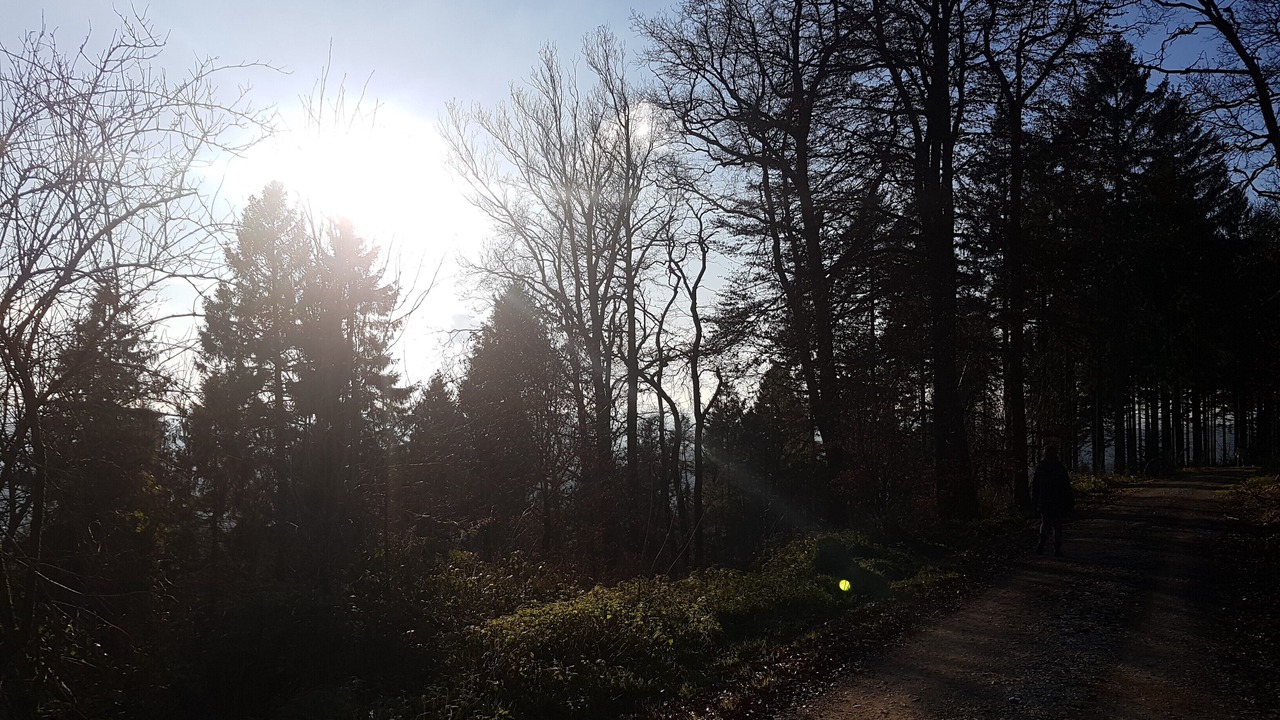 Photo of Outdoor in Bad Iburg