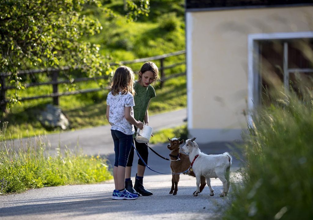 Photo of Others in Murau